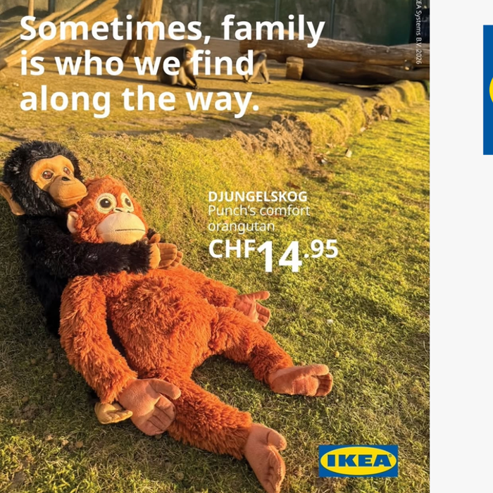 Wardrop's Viral IKEA Punch the Monkey Campaign